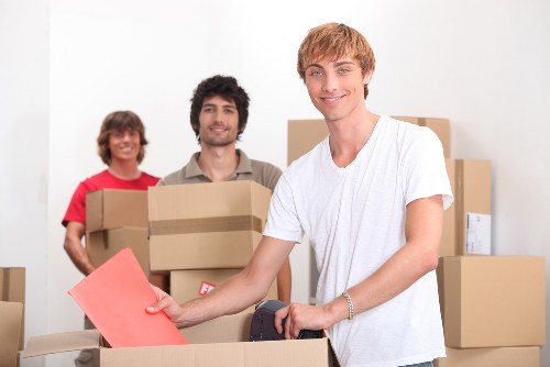 Terms and conditions document for a removal service